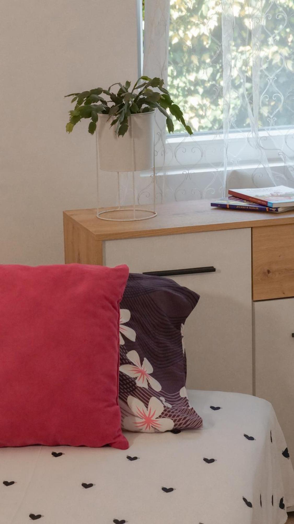 Apartmani Bubamara Leskovac Leskovac  Ngoại thất bức ảnh