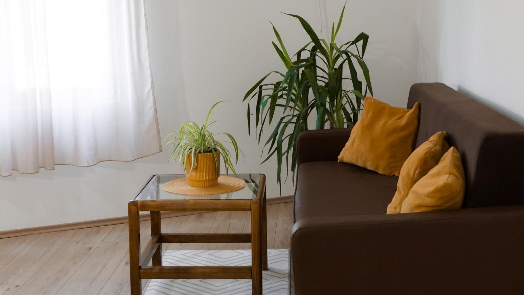 Apartmani Bubamara Leskovac Leskovac  Ngoại thất bức ảnh