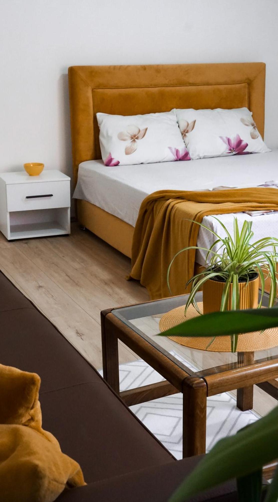 Apartmani Bubamara Leskovac Leskovac  Ngoại thất bức ảnh