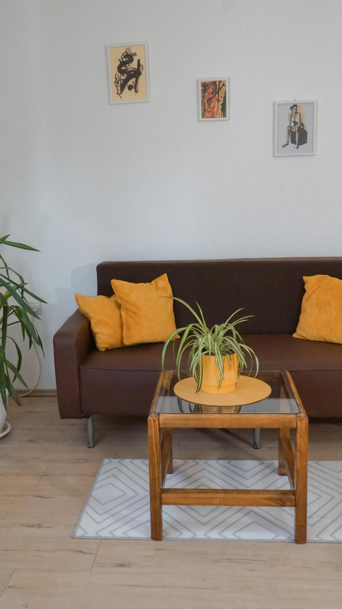 Apartmani Bubamara Leskovac Leskovac  Ngoại thất bức ảnh